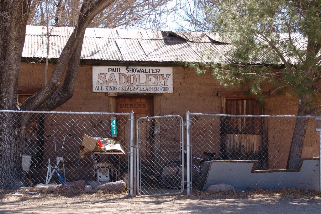 Paul Schowalter Saddlery by james150