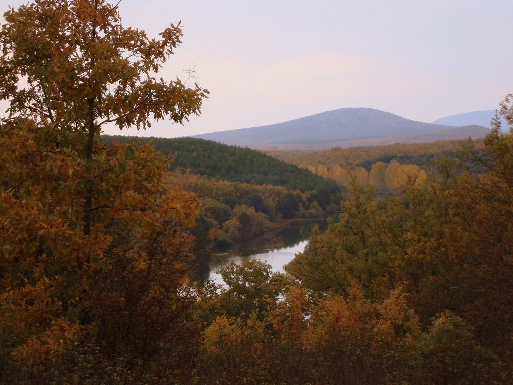 Rio Duero en Otoño by Hyruleño