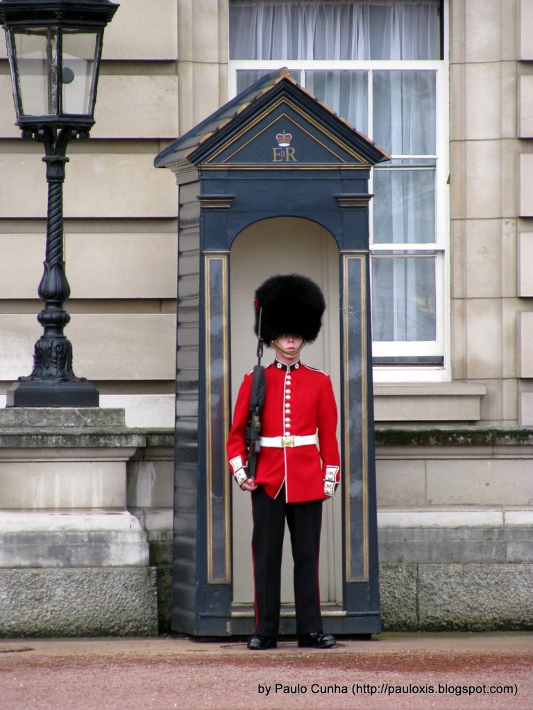 Buckingham Palace Guard by Paulo Cunha