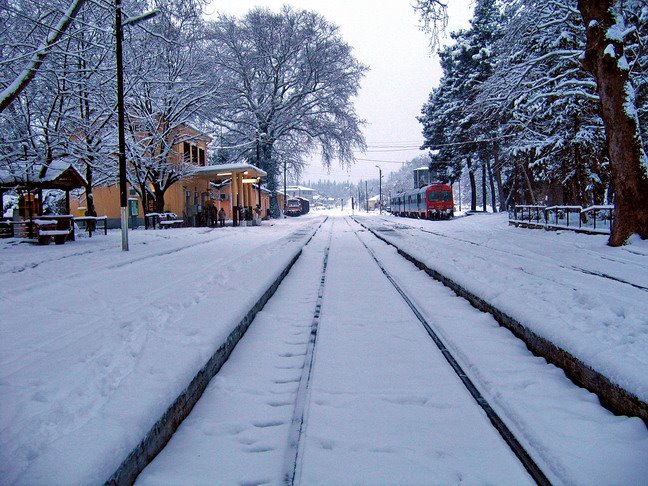 Railway station covered with snow by Χρήστος Ροδίφτσης