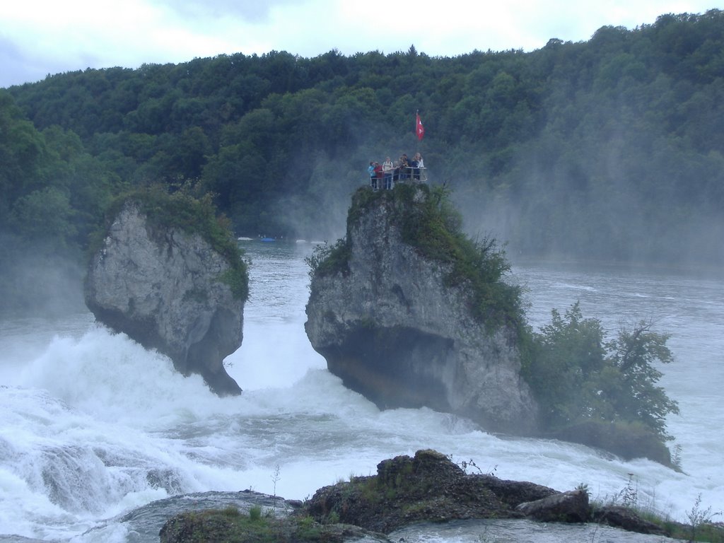 CATARATAS DEL RIN - Rheinfall by Fran-gc