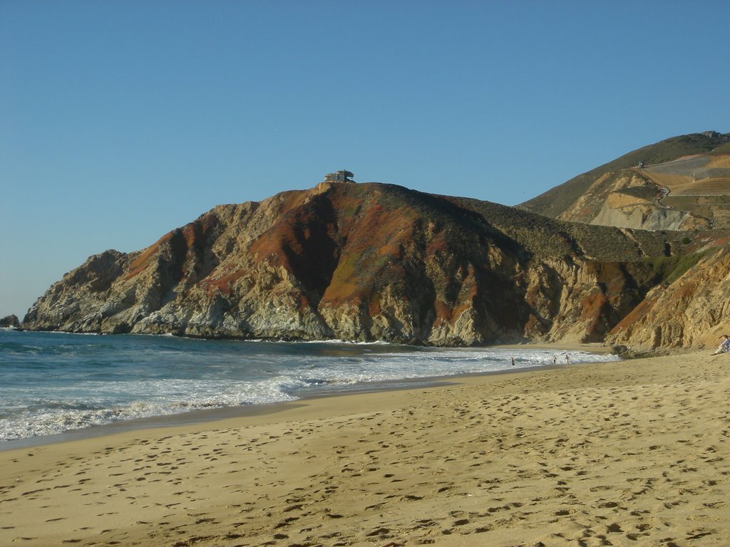 Gray Whale Cove by diggin4deals