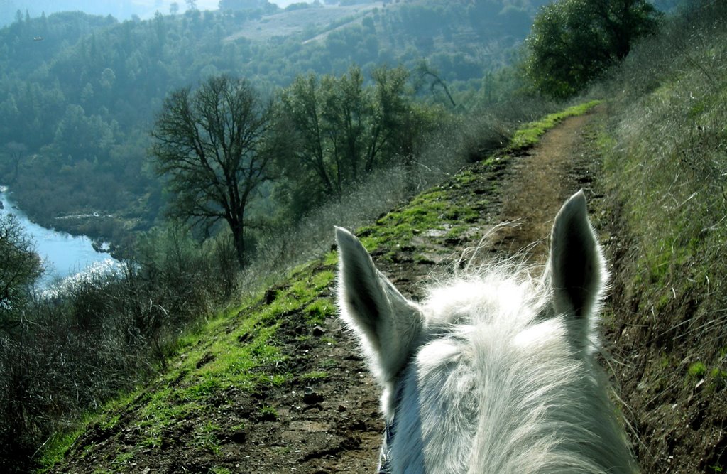 Cronan Ranch, horse trail above the South Fork of the American River by Robert H. Sydnor