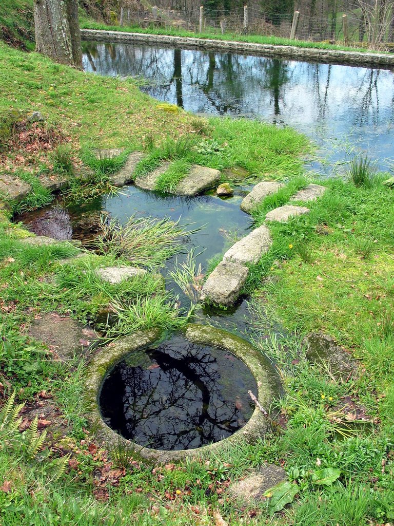 Chavanat : fontaine, lavoir, pêcherie by n&p laurière