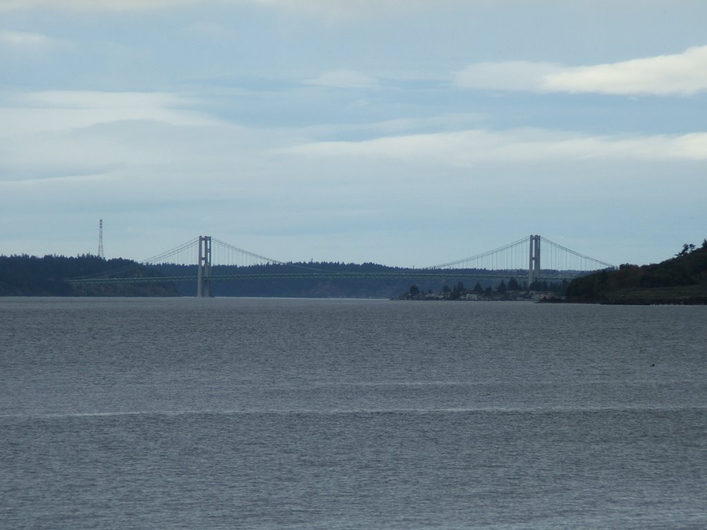 Tacoma Narrows Bridge from Steilacoom by Joe Lambert