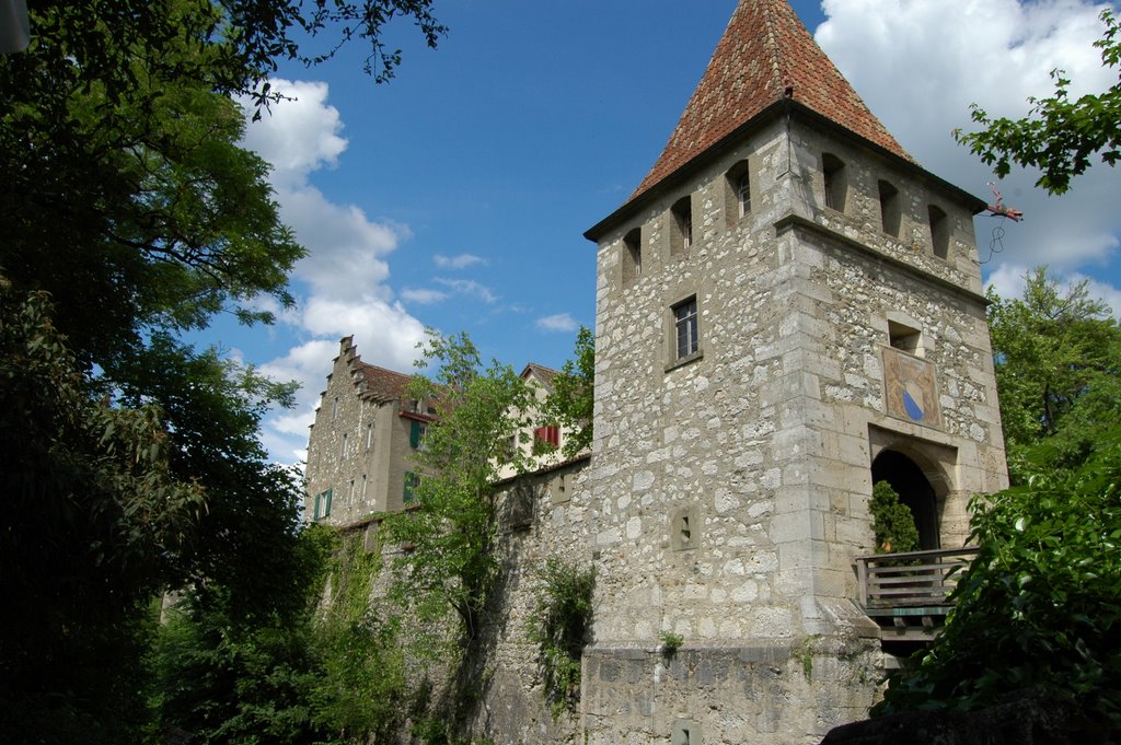 Am Rheinfall by unterwegs2008