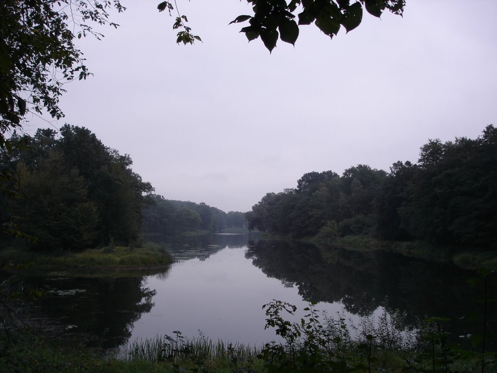 Partie am Wallwitzsee in der Dämmerung by vegoh