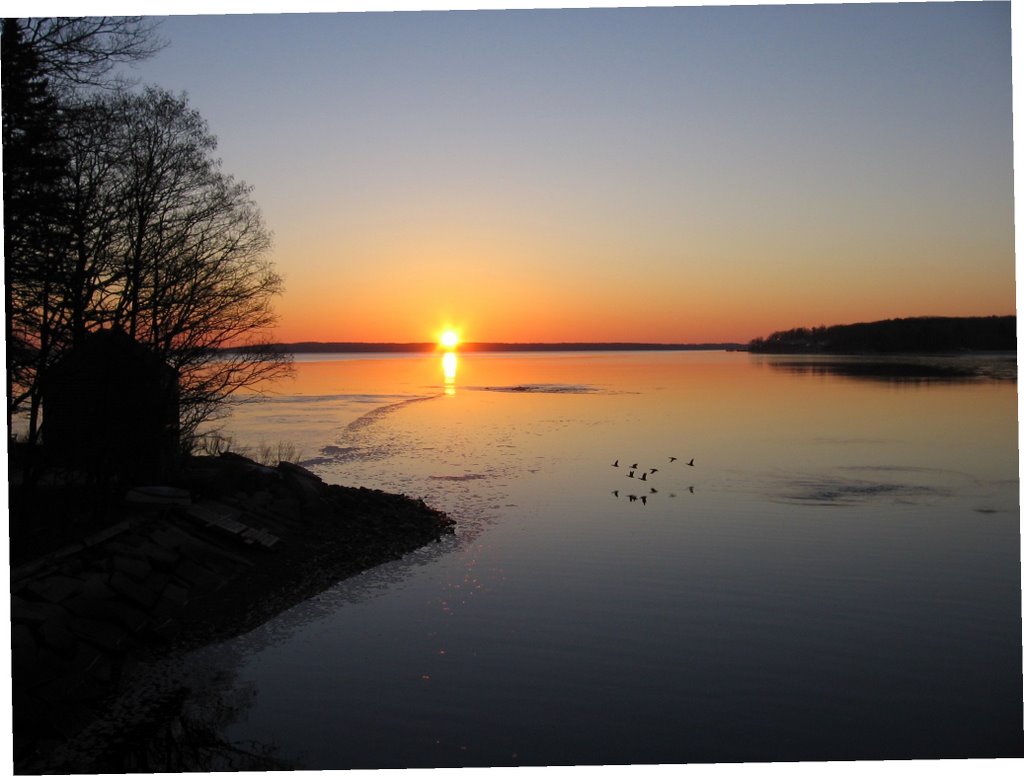 Sunrise on Penobscot Bay from Little River by Laura Sebastianelli