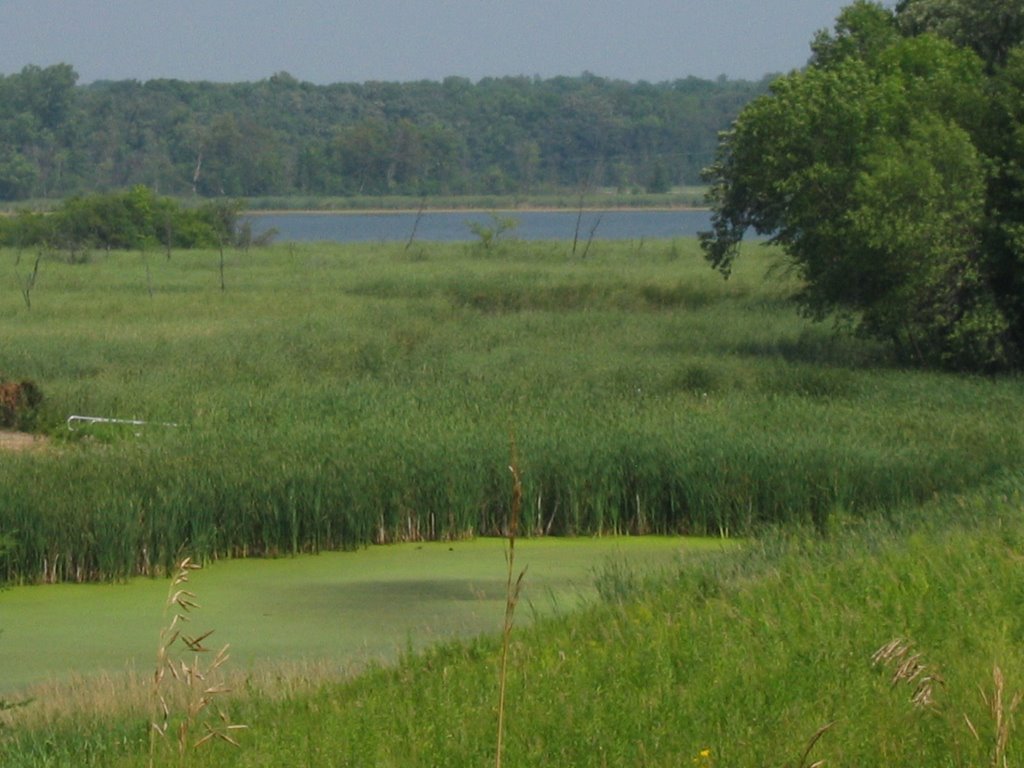 Stone Lake, Victoria Minnesota by radio.sputnik