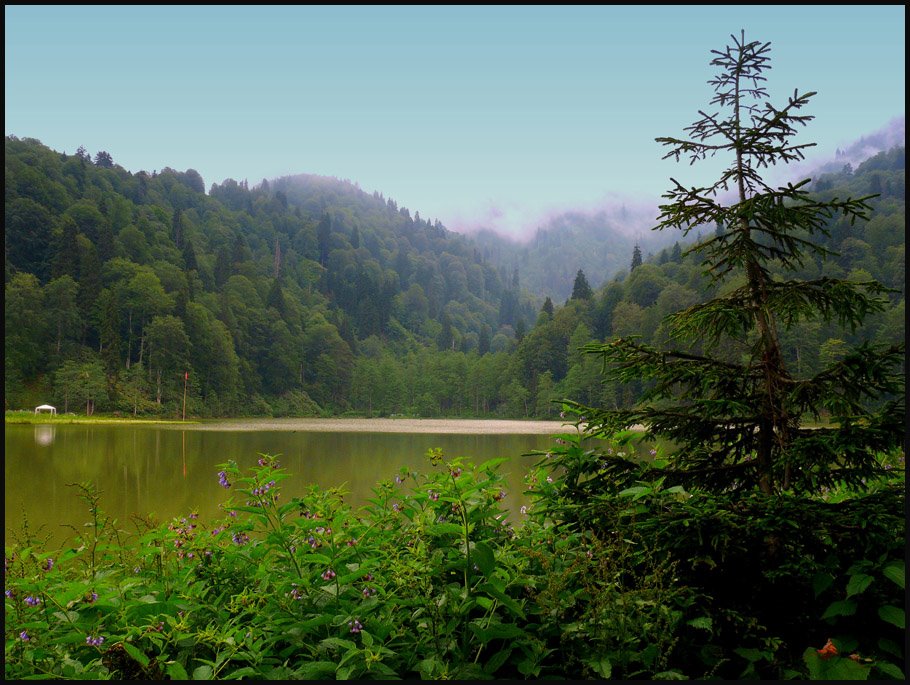 Borçka Karagöl - Artvin (2008) by Metin Erinc