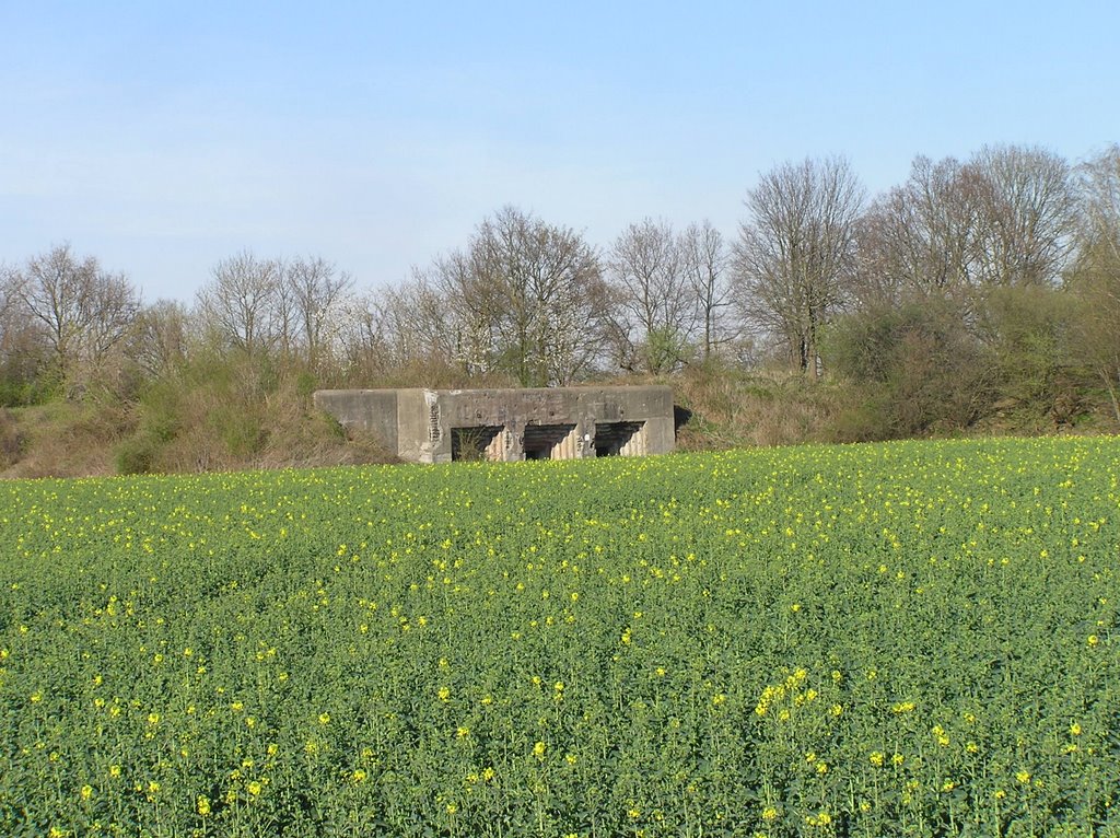 Bunker 5 Fort d'Ében-Émael by mirakle