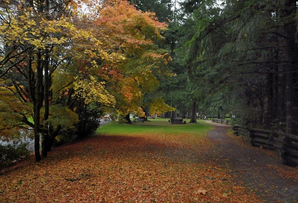 Capilano, North Vancouver BC by jeslu