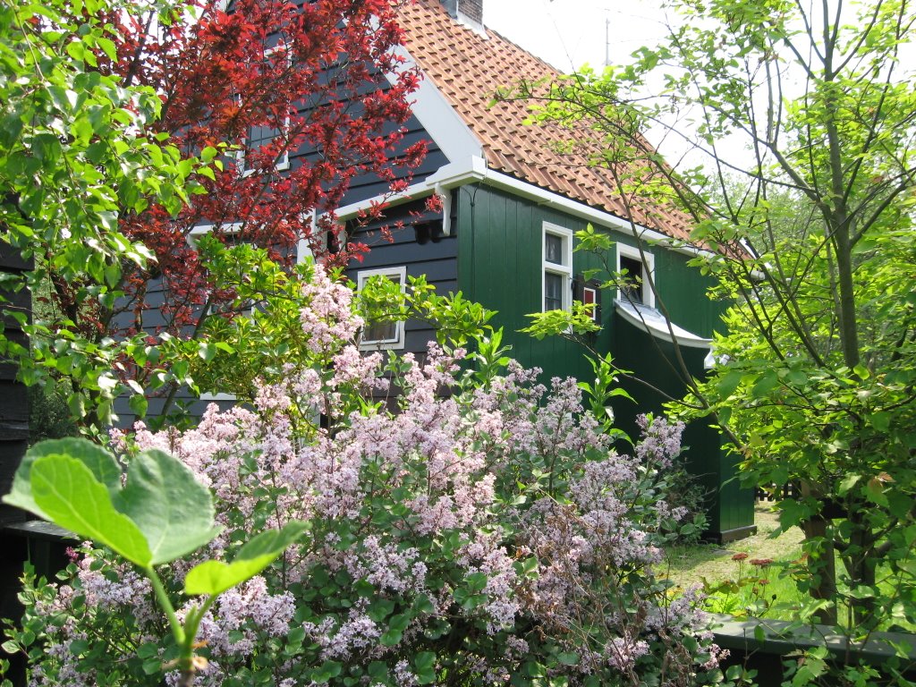 Vilarejo de Zaanse Schans by Welinthon Dugonski