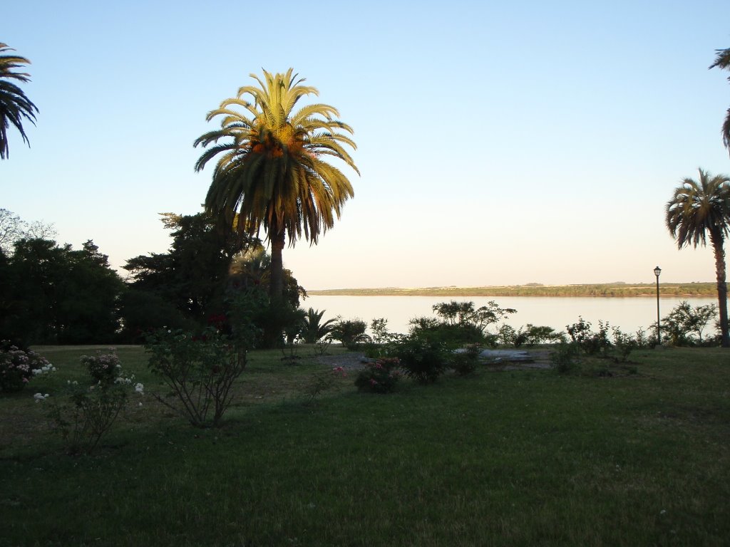 Vista del río desde el Palmar by Agustin Sequeira