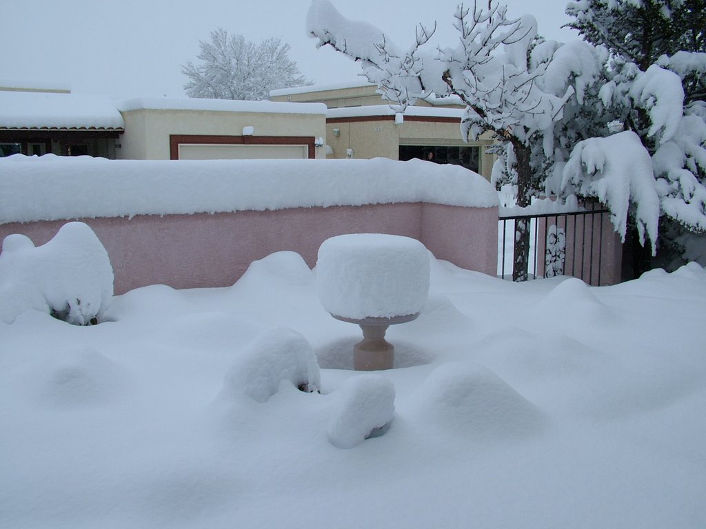 Backyard at 9100 Wimbledon NE by Mystery Girl