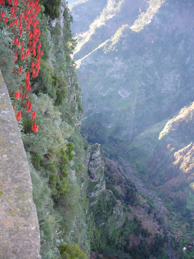 Vista Eira do Serrado by Jose Pinto