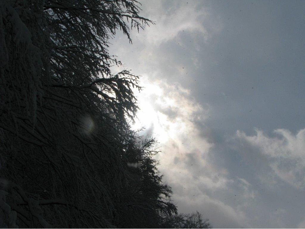 First snow in 2008 - Piatra Craiului by alinavalentina