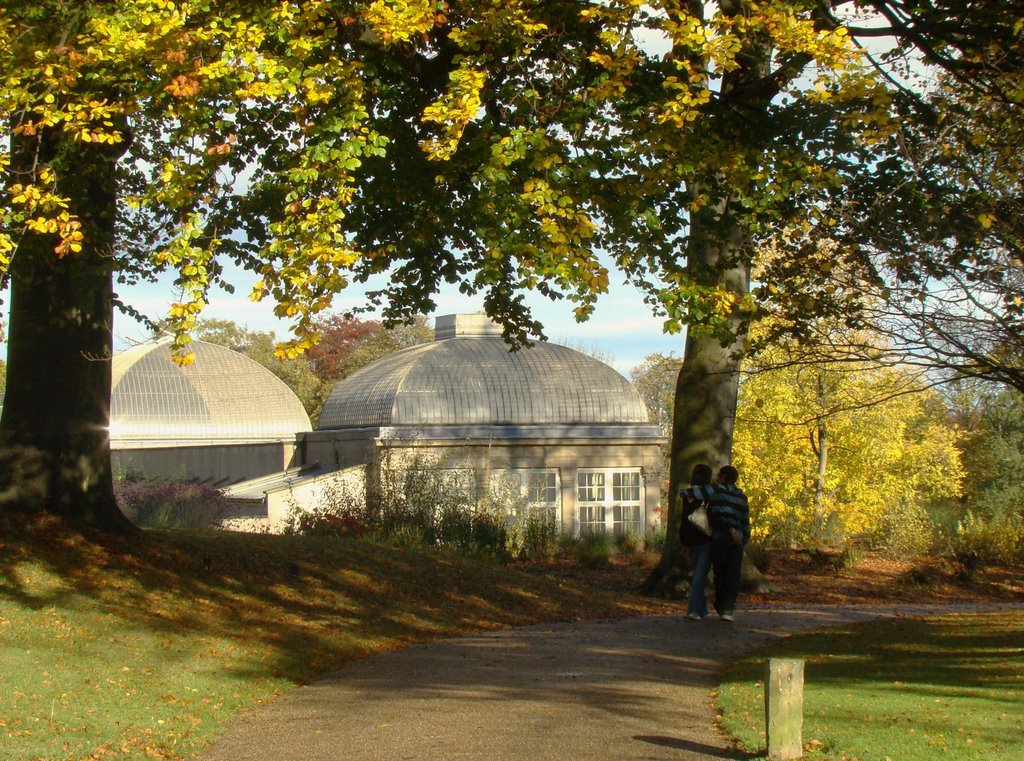 Autumnal stroll through Sheffield Botanical Gardens, S11 by sixxsix