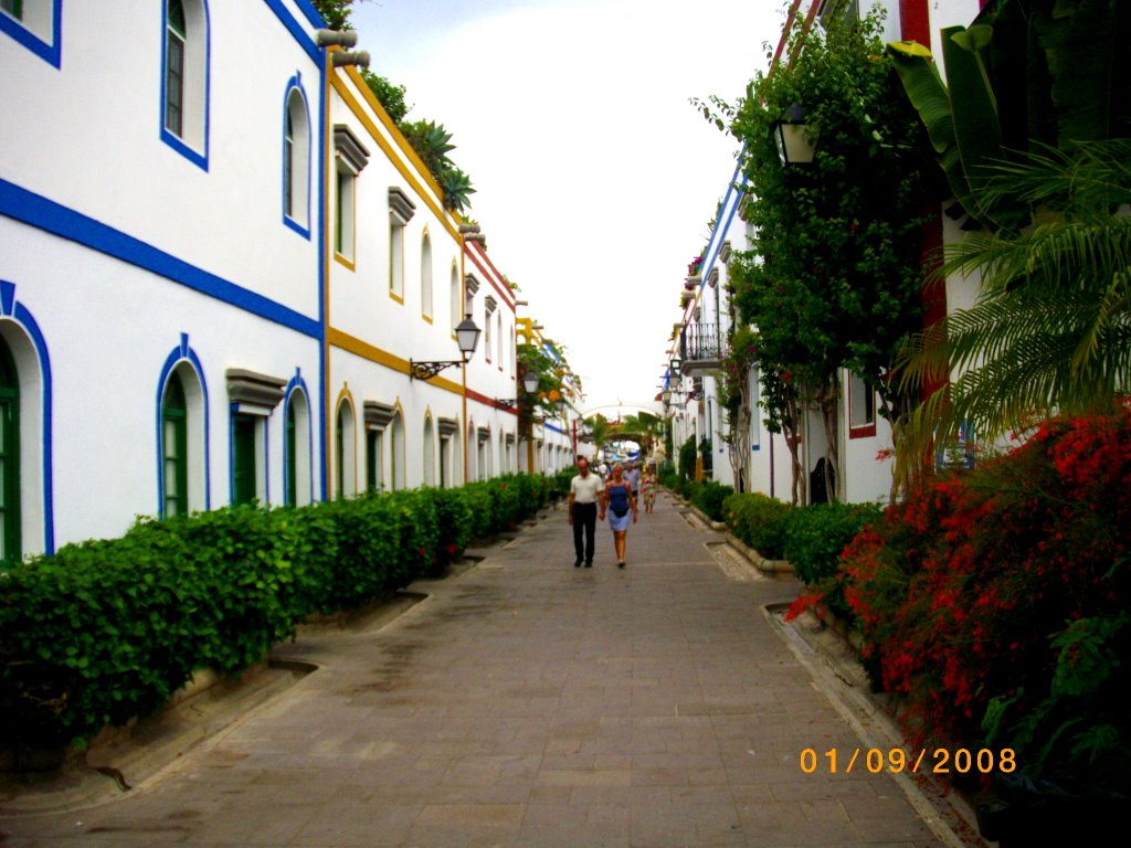 35139 Lomo Quiebre, Las Palmas, Spain by Gianluca Di Giuseppe