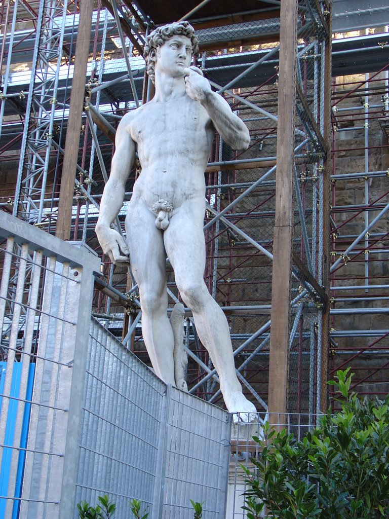 Michelangelo:David by Sándor Doma