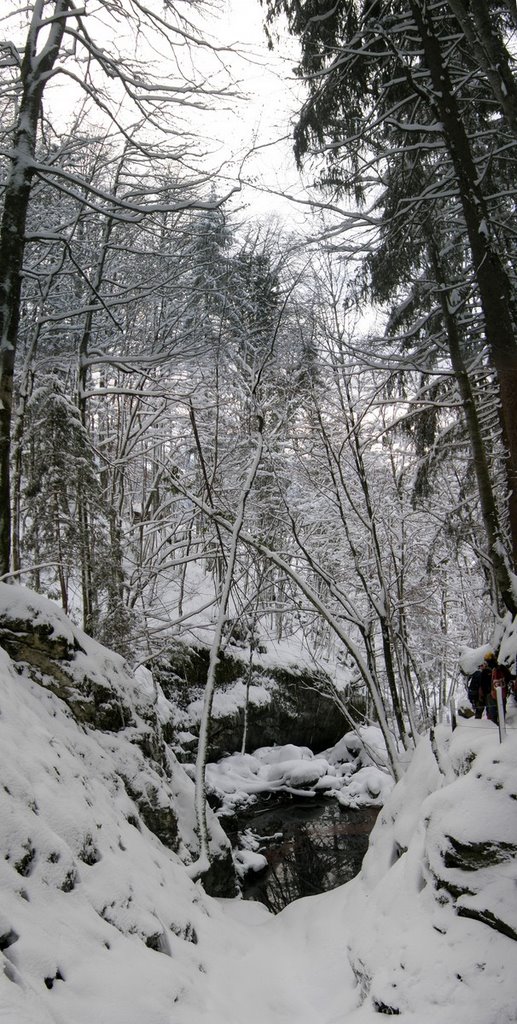 20081123 1556 verschneites Tal beim Abstieg by schoschi