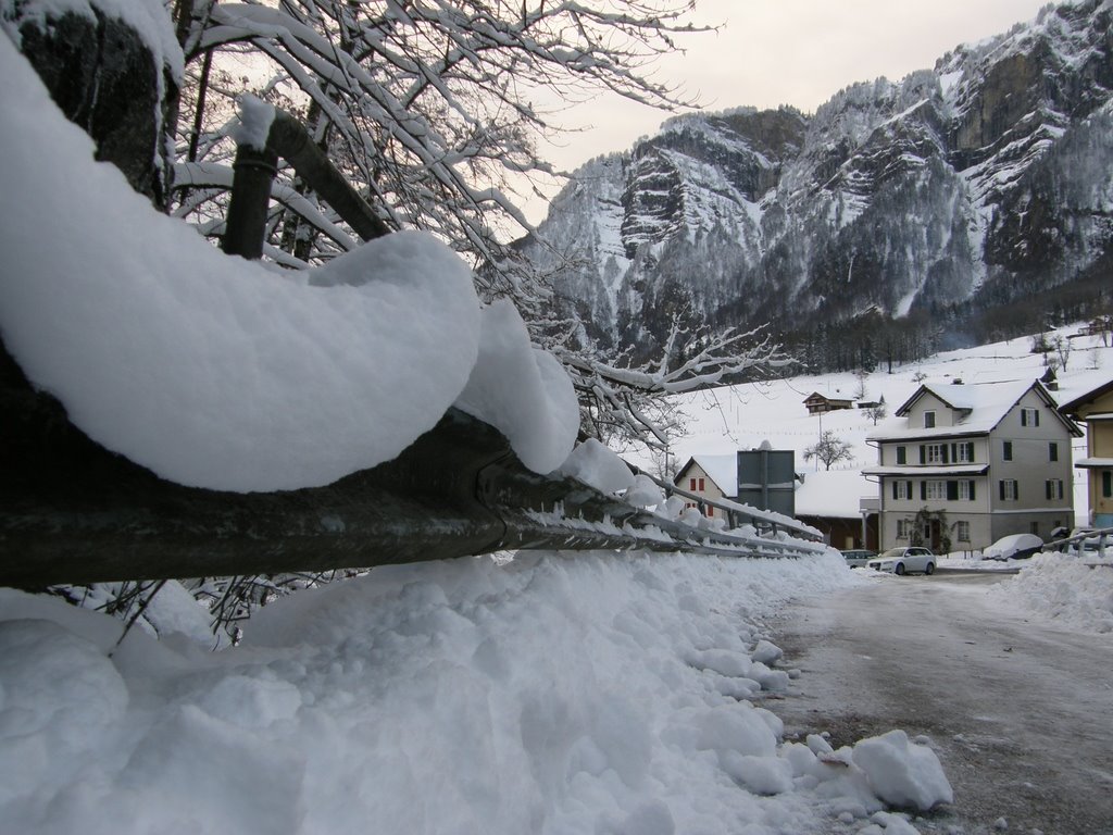 20081123 1624 Schnee auf Leitplanke wie Girlanden by schoschi