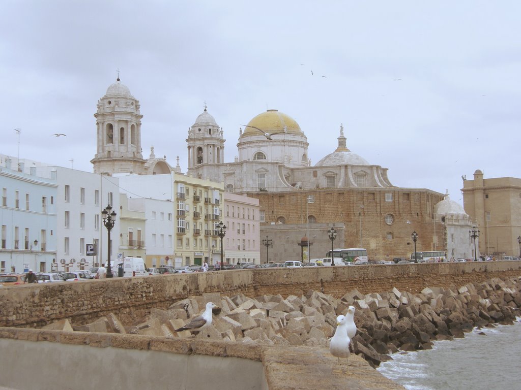 Catedral de Cádiz. Andalucía. by oscarranza