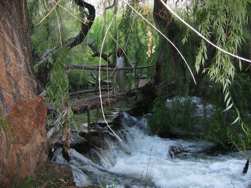 Rio magico, cochiguaz by sannyjono