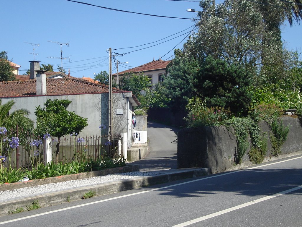 Rua do Telhado by heldermarcelo