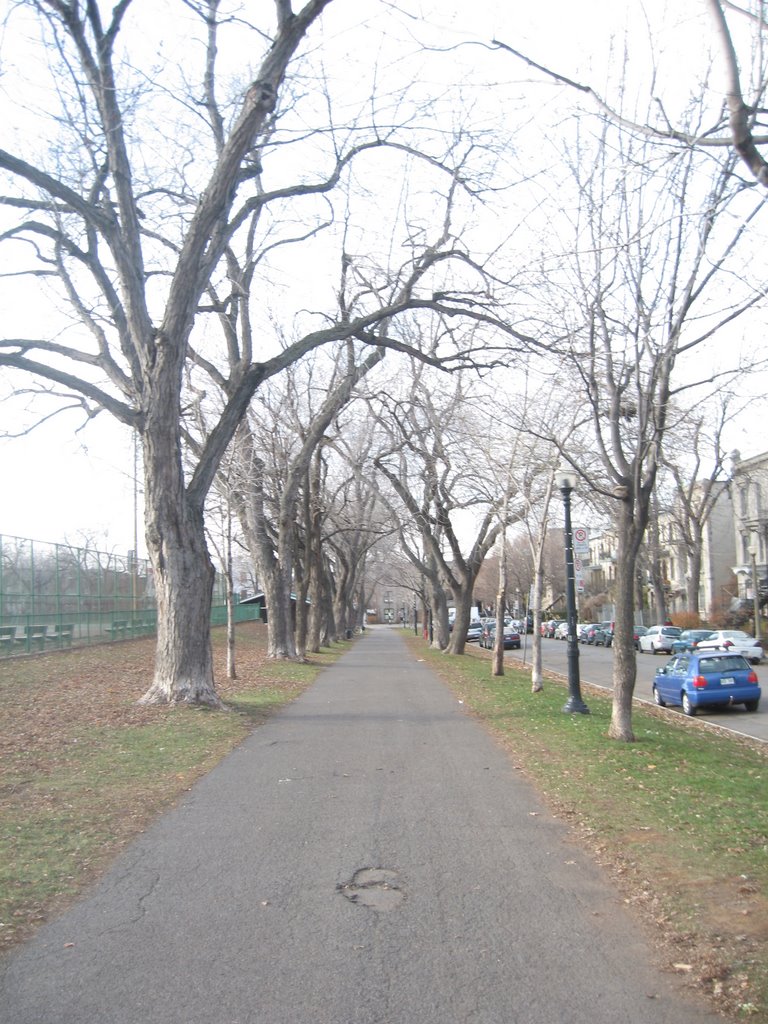 Parc Jeanne Mance - November, 2008 by p_m_y