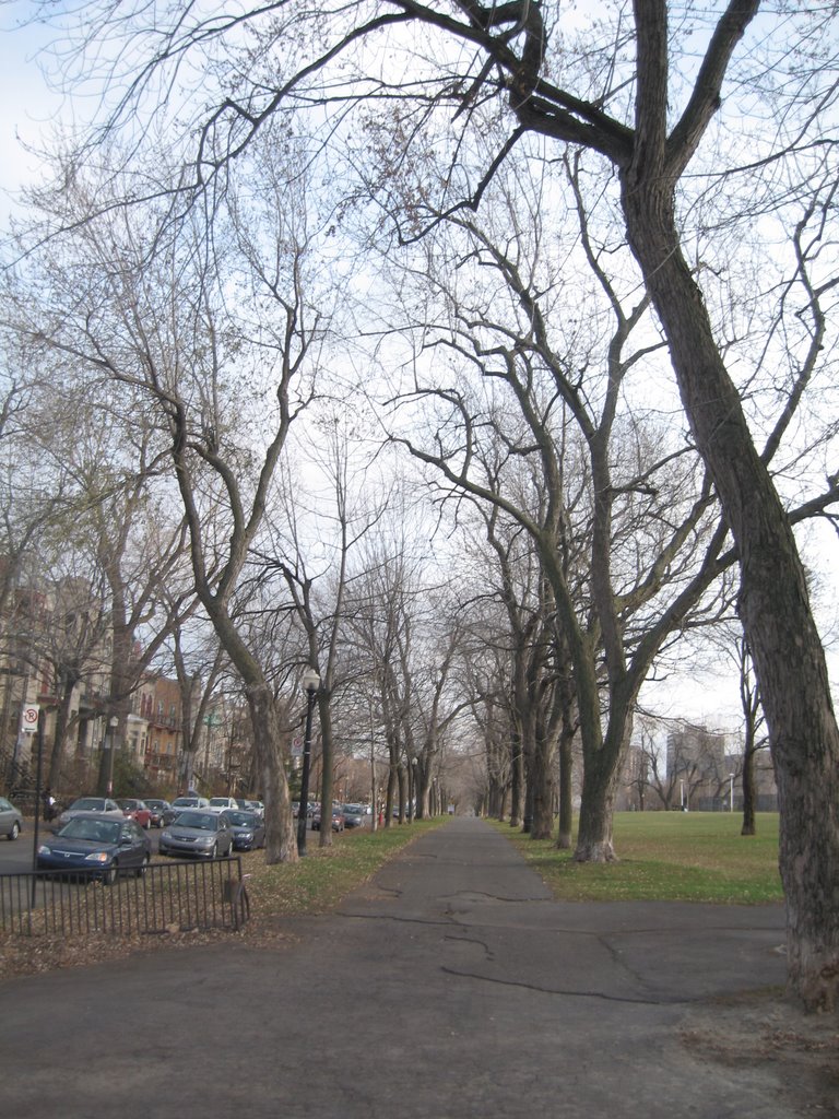 Parc Jeanne Mance - November, 2008 by p_m_y