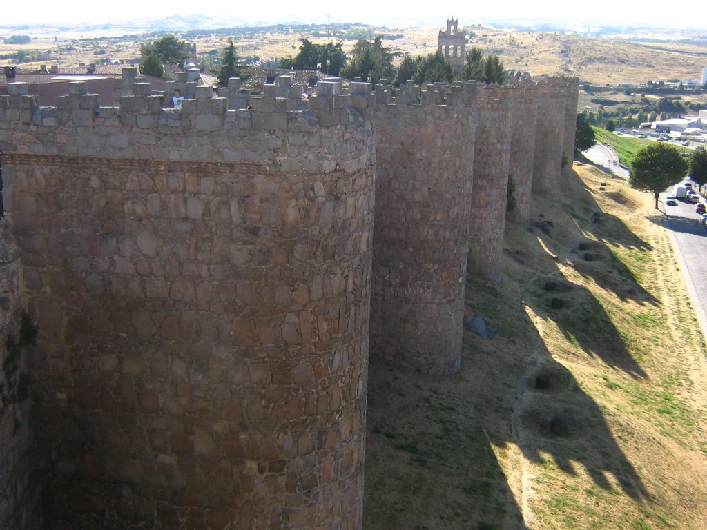 The fortress by Alexandru Ioan