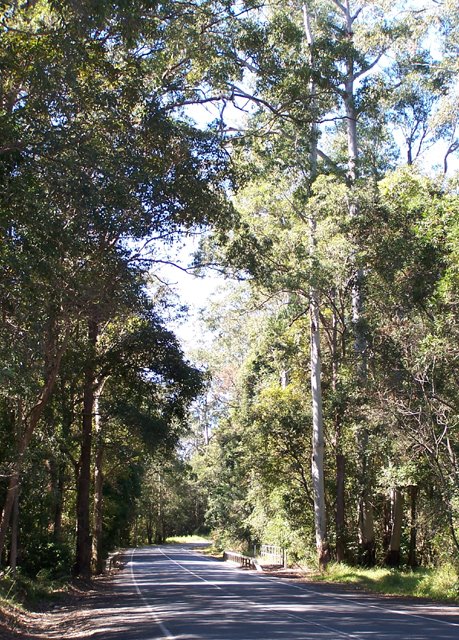 ...at the Plantation in Cooroy by TallowwoodPlace.net