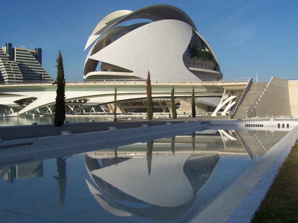 El Palau de les Arts Reina Sofía - Valencia by taloro87