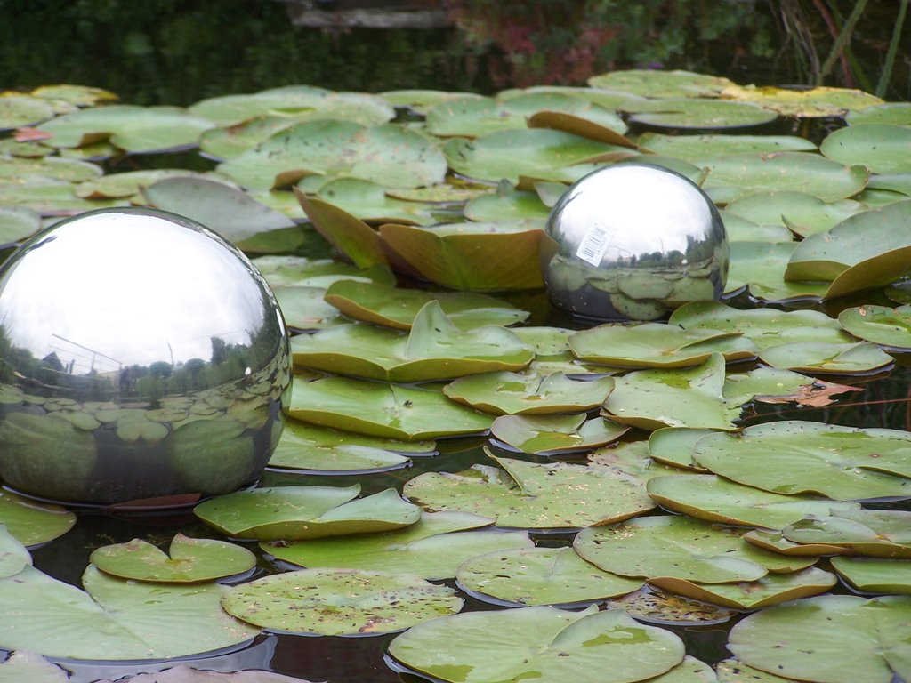 Inox Bollen op de vijver by Horta Den Dauw