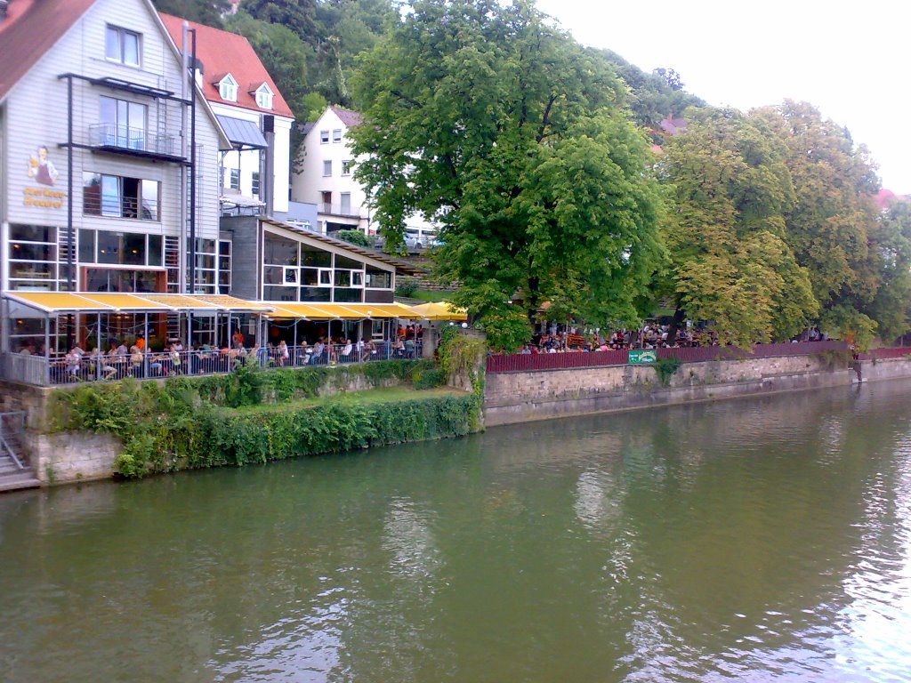 Der Neckar und der Neckarmüller by LaMora