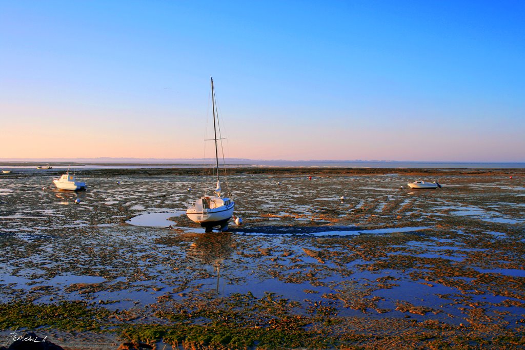 Châtelaillon-Plage, France by BORDEAU Alain.(NO VI…