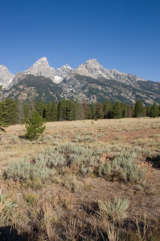 Grand Tetons by Dave Kolm