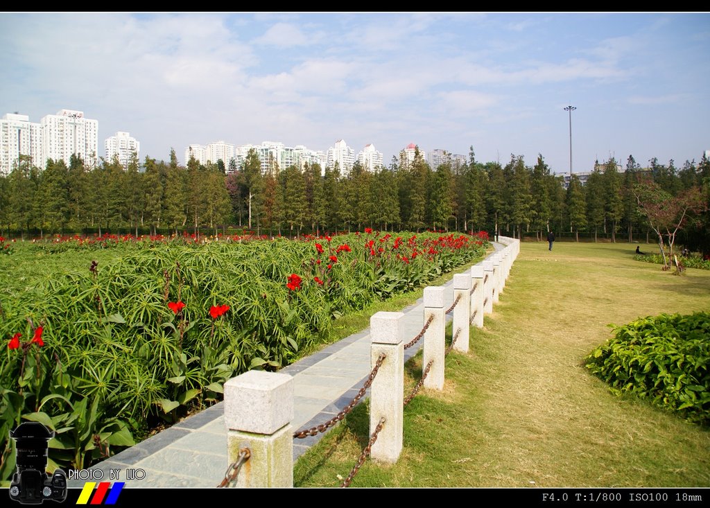 洪湖公園人工濕地 by LUO_DV