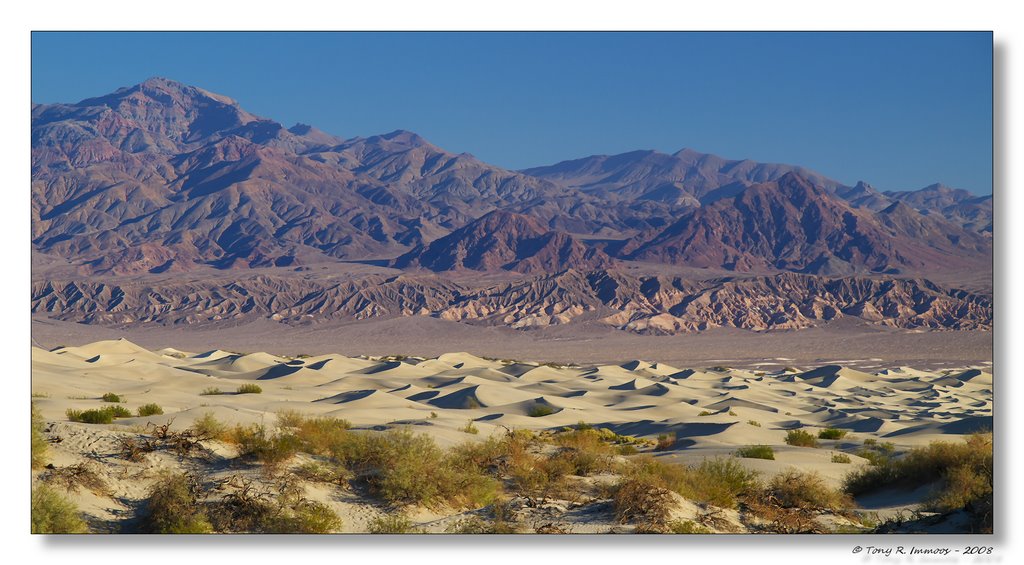 Mesquite Dunes, Corkscrew Peak by Tony Immoos