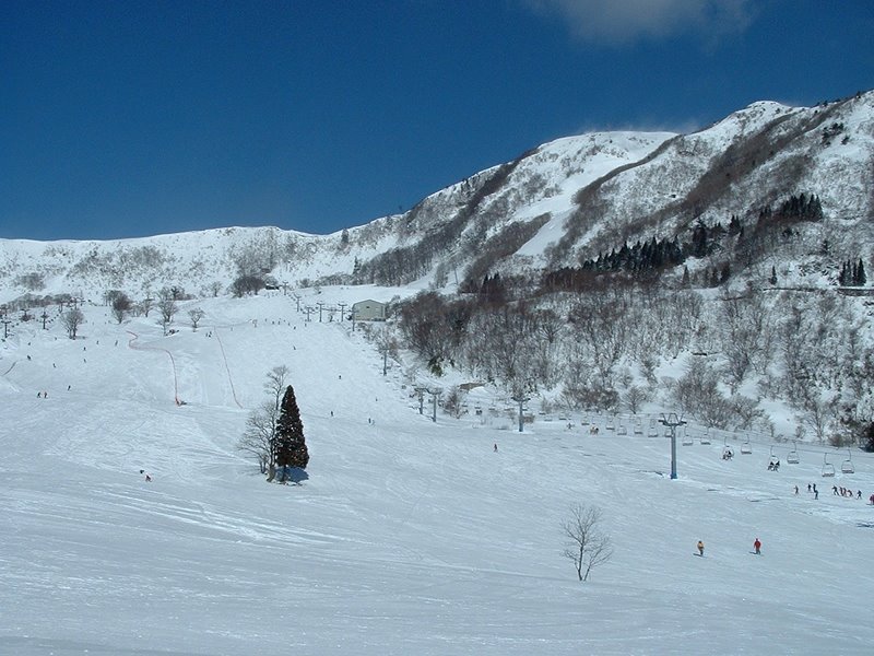 Hachi highland ski area by k_office