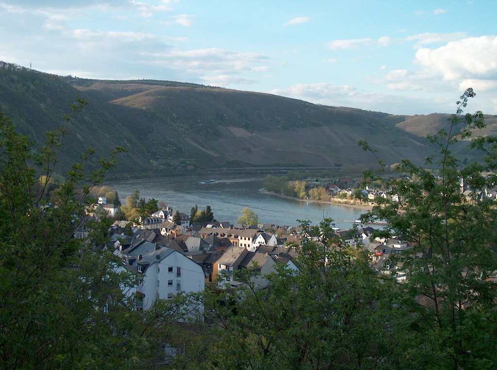 Blick über Boppard by Frank Hommer