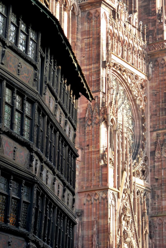 Strasbourg: Maison Kammerzel et Cathédrale Notre-Dame (26 nov 2008) by Jean-Pierre HENS