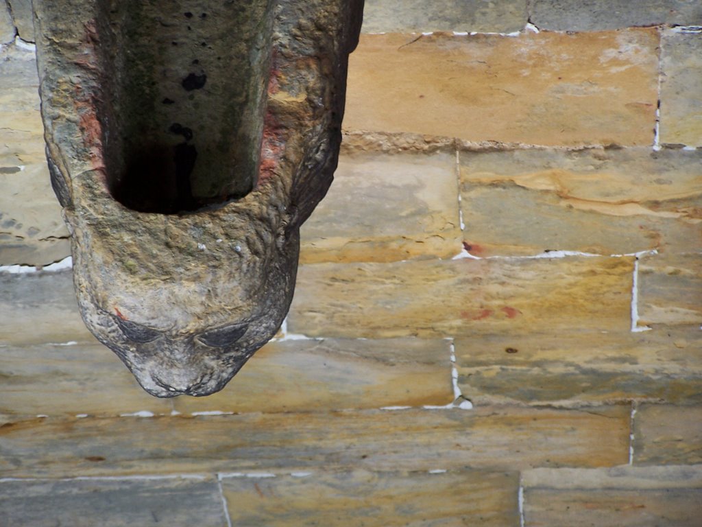 Water spout on top of chapel by jonnybeanos