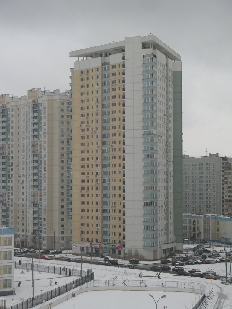 Ryazansky District, Moscow, Russia by Mary Bravo