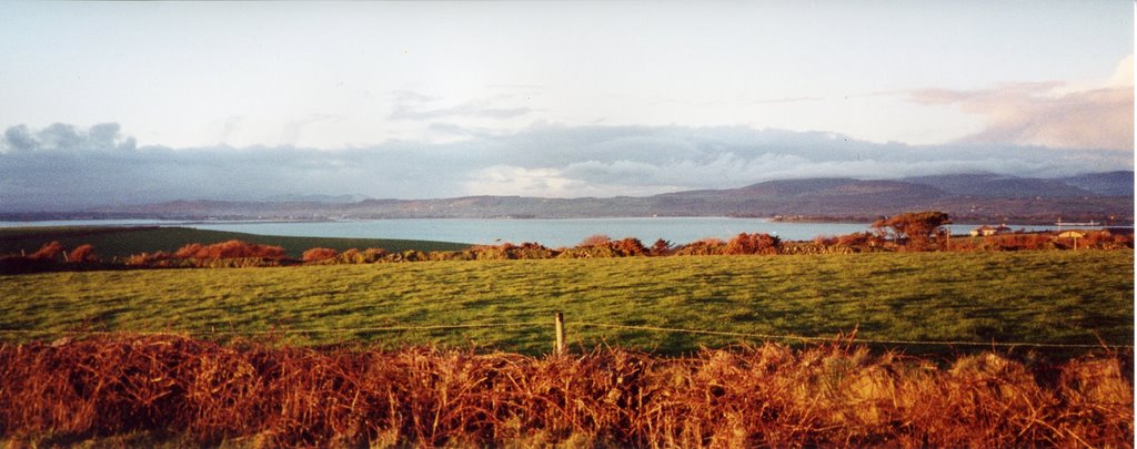 Dungarvan Bay by Mark Finnegan