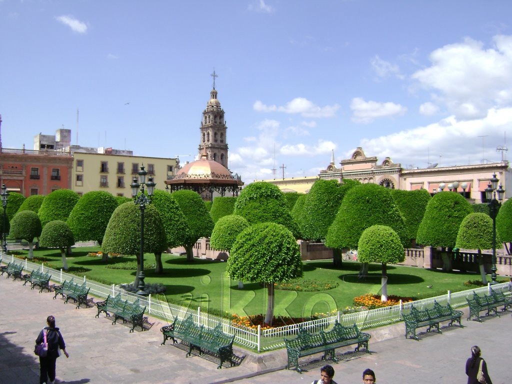 Jardin Central. Léon, Guanajuato. México by vikko7