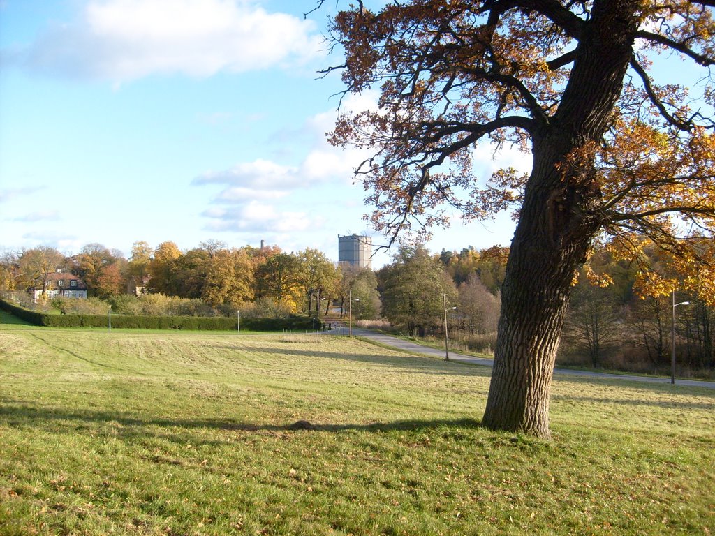 Norra Djurgården, Östermalm, Stockholm, Sweden by ray_bill2