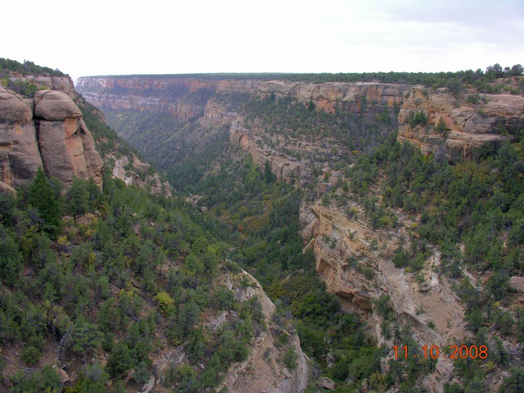 Cliff Palace Canyon in Mesa Verde NP, Colorado by Éblouix