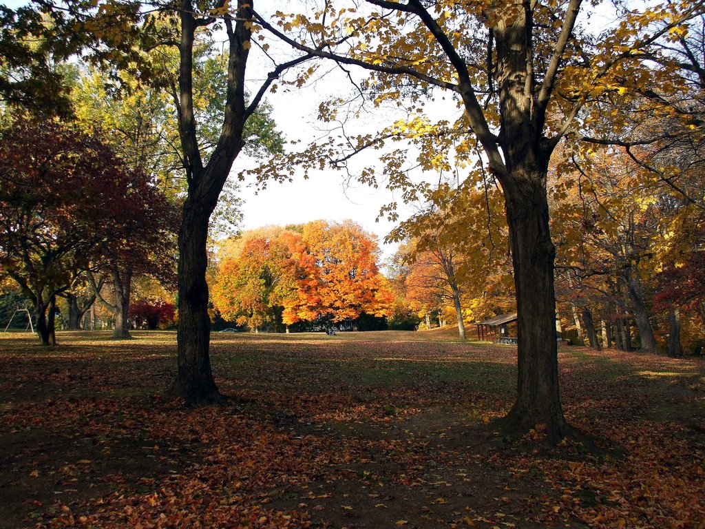 Boothe Memorial Park by DaTaJoPe